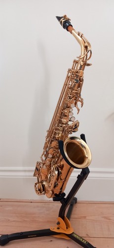 Beginner alto saxophone - alto,