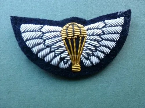 Para qualification wing - para,