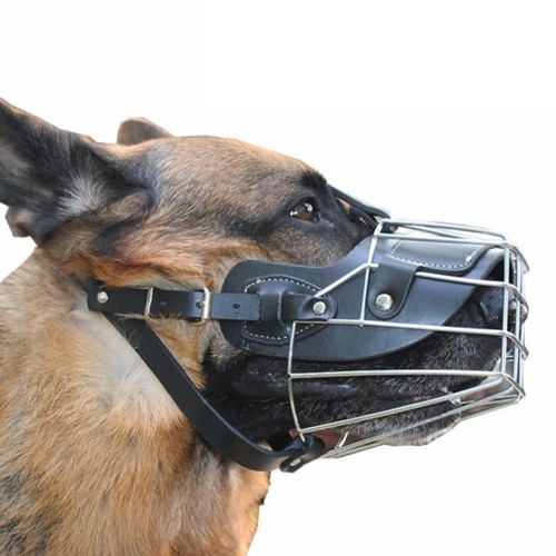 Large steel cage dog basket - dog,