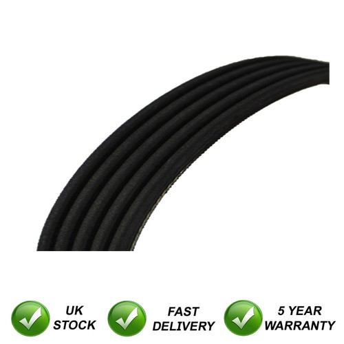 Ribbed drive belt sjr fits - ribbed,
