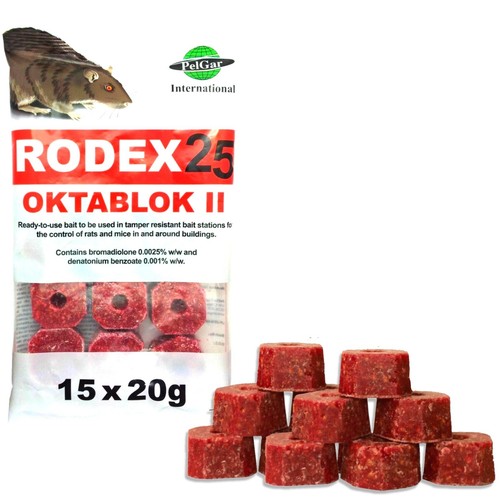 Strongest rat poison - rat,