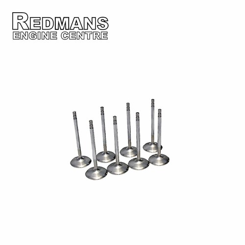 Inlet valves fits audi - inlet,