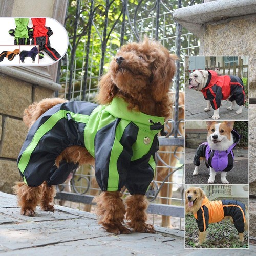 Dog raincoat lightweight - raincoat, 4