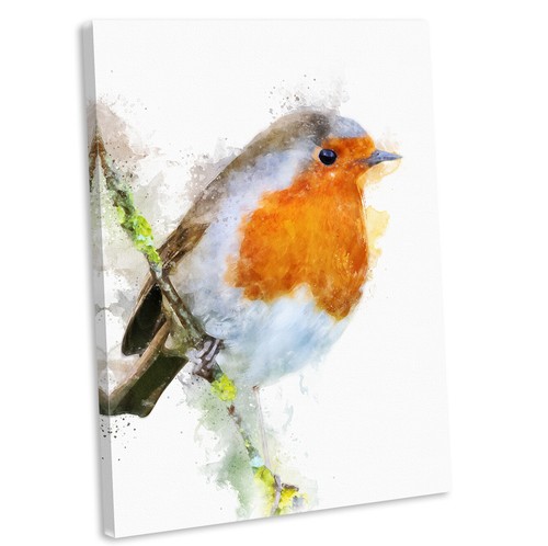 Robin perched watercolour - perched,