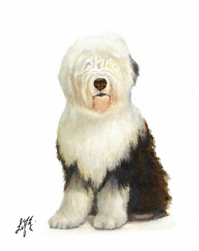 Original oil portrait - original,