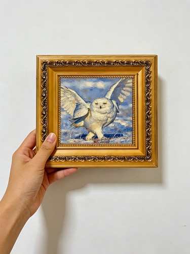 Flying snowy owl winter sky - owl,