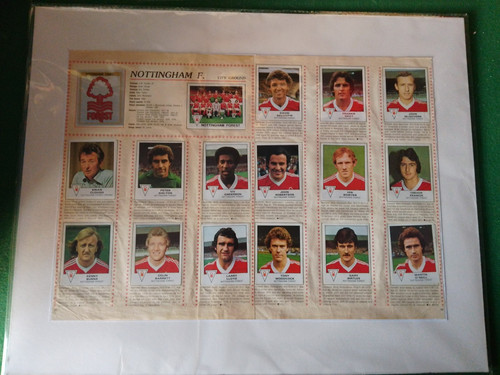 Nottingham forest panini - nottingham,