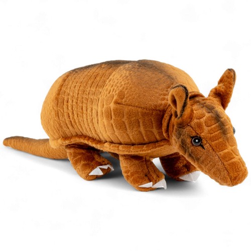Carl dick armadillo approx - carl,