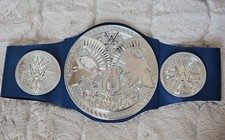 WWE Tag Team Champions Belt