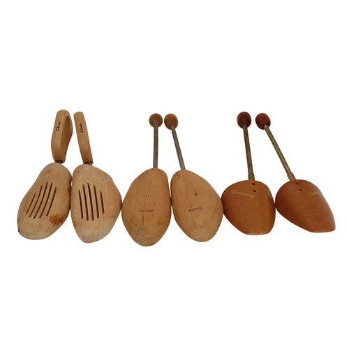 Wooden shoe trees - shoe, 3