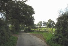 Photo 6x4 Approaching