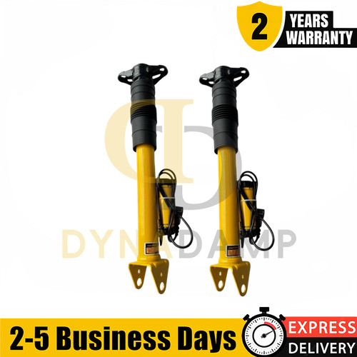Pair rear shock - rear, strut