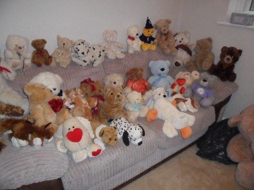 Look massive teddy bear - look,