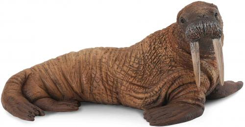 Walrus sealife toy model - walrus,