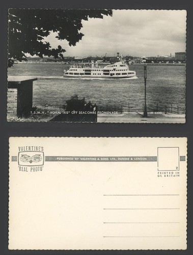 Motor vessel v - motor, royal