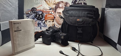 Sony ilce 3000 mirrorless - ilce,
