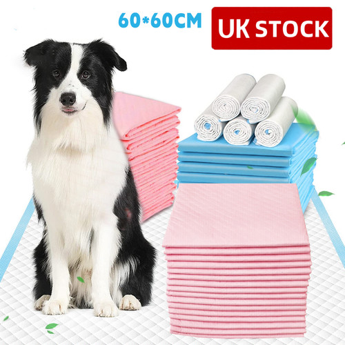 Large puppy training - large, trainer