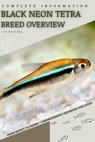 Black neon tetra from - tetra:, novice