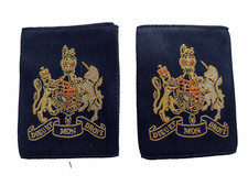 RAF Warrant Officer WO Rank
