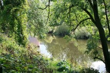 Photo 6x4 River Severn reflections Coalbrookdale Between Buildwas and Iro c2010