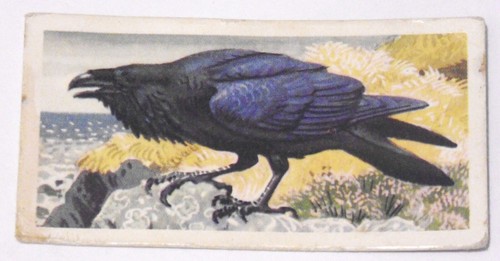 1957 brooke bond tea - brooke, cards