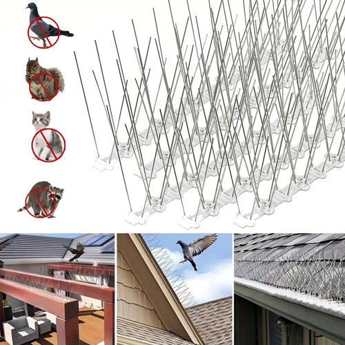 30m bird spikes pigeon - bird,