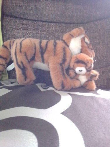 Tiger and cub plush - tiger,