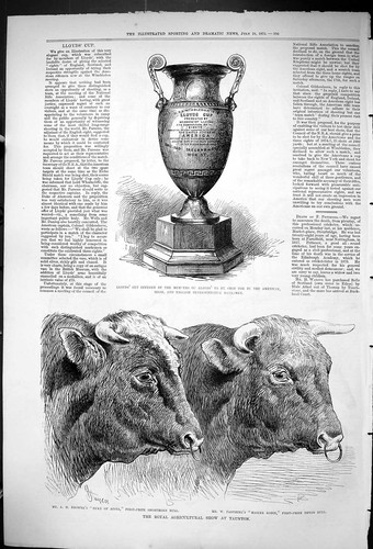 Old 1875 lloyds cup - old, rifle