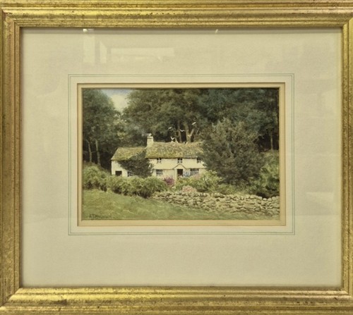 Alistair makinson original - t,