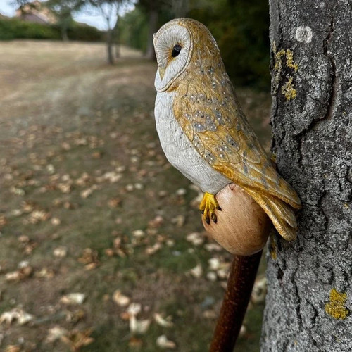 Wooden walking stick hand