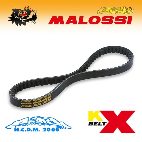 Malossi 6116671 transmission - 6116671,