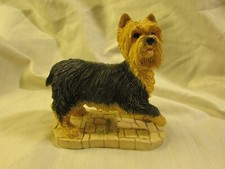 **LOOK** Border Fine Arts BFA Yorkshire Terrier Dog Standing A24199