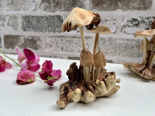Hand carved mushrooms - mushrooms, teak