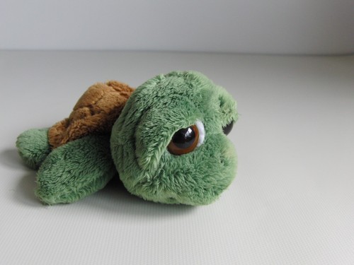 Suki lil peepers rocky - rocky, turtle