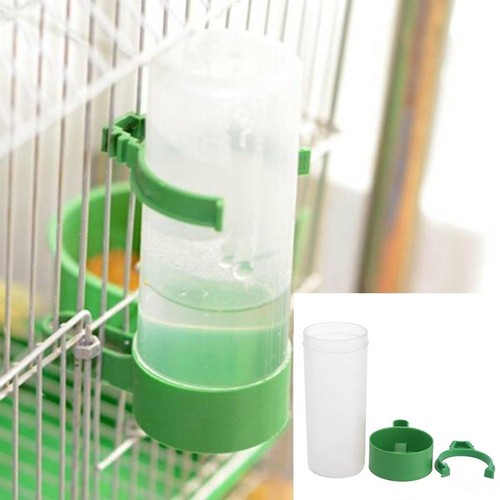 Pet bird water - pet,