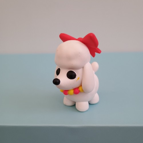 Adopt mystery pets poodle - adopt,