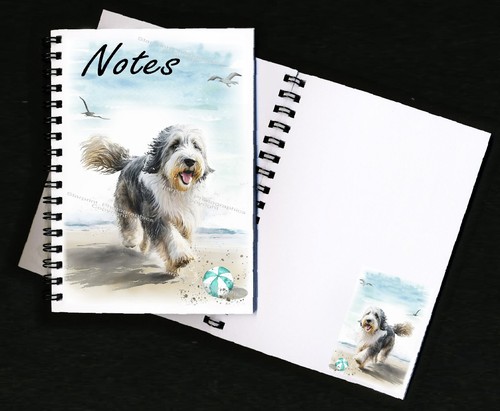 Bearded collie dog - bearded,