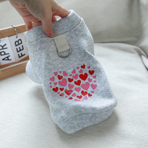 Small dog coat sweatshirts - small,