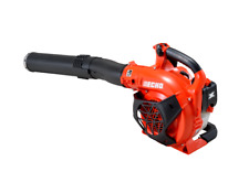 Echo Handheld Professional