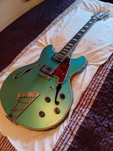 Semi acoustic guitar - acoustic,