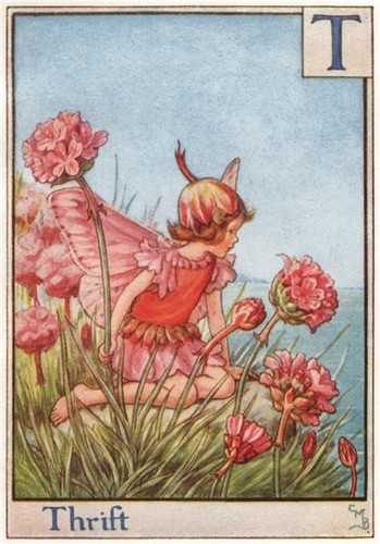 Thrift fairy by cicely - =,