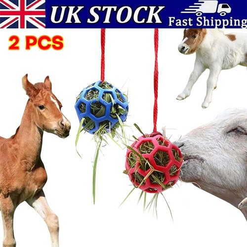 2pcs horse treat ball hay - horse,