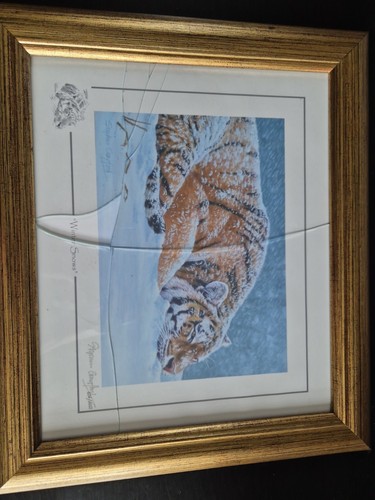 Stephen gayford winter - stephen,