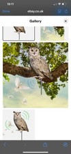 Owl Decoy Bird Deterrent Devices Scare Birds Away Pigeon Repellent For Garden