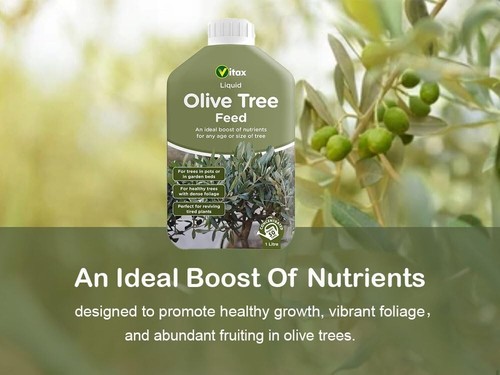 Vitax liquid olive tree feed - liquid,