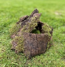 20 Pcs Natural Bark & Wood