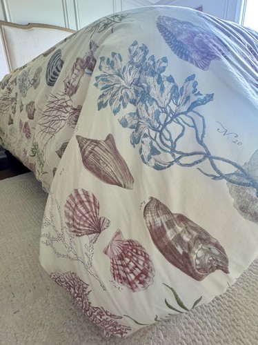 Pottery barn atlantic seashell - barn,