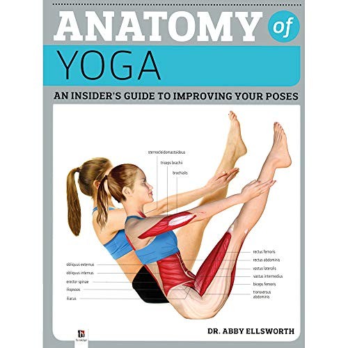 Anatomy yoga - of, yoga.