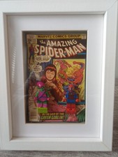 Framed Display Featuring A