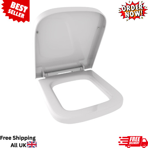 Rak toilet seat soft close - seat,